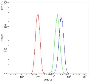 Flow cytometry testing of human U-2 OS cells with FHIT antibody at 1ug/million cells (blocked with goat sera); Red=cells alone, Green=isotype control, Blue= FHIT antibody.