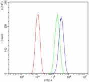 Flow cytometry testing of fixed and permeabilized human U-2 OS cells with FHIT antibody at 1ug/million cells (blocked with goat sera); Red=cells alone, Green=isotype control, Blue= FHIT antibody.