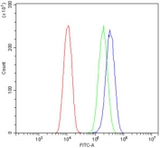 Flow cytometry testing of fixed and permeabilized human U-2 OS cells with FHIT antibody at 1ug/million cells (blocked with goat sera); Red=cells alone, Green=isotype control, Blue= FHIT antibody.