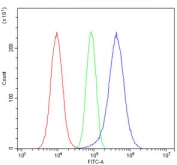 Flow cytometry testing of fixed and permeabilized human A549 cells with GSTP1 antibody at 1ug/million cells (blocked with goat sera); Red=cells alone, Green=isotype control, Blue= GSTP1 antibody.