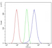 Flow cytometry testing of fixed and permeabilized human A549 cells with GSTP1 antibody at 1ug/million cells (blocked with goat sera); Red=cells alone, Green=isotype control, Blue= GSTP1 antibody.