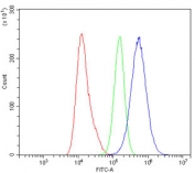 Flow cytometry testing of human A431 cells with Plakoglobin antibody at 1ug/million cells (blocked with goat sera); Red=cells alone, Green=isotype control, Blue= Plakoglobin antibody.