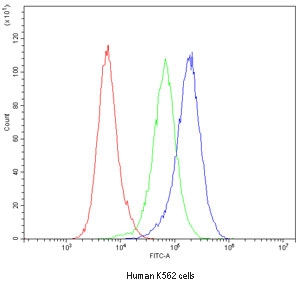 Flow cytometry testing of human K562 cells with Caspase-3 antibody at 1ug/million cells (blocked with goat sera); Red=cells alone, Green=isotype control, Blue=Caspase-3 antibody.