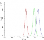 Flow cytometry testing of fixed and permeabilized human A549 cells with GCLC antibody at 1ug/million cells (blocked with goat sera); Red=cells alone, Green=isotype control, Blue= GCLC antibody.