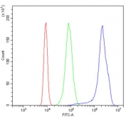 Flow cytometry testing of human K562 cells with MCAK antibody at 1ug/million cells (blocked with goat sera); Red=cells alone, Green=isotype control, Blue= MCAK antibody.