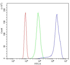 Flow cytometry testing of human K562 cells with MCAK antibody at 1ug/million cells (blocked with goat sera); Red=cells alone, Green=isotype control, Blue= MCAK antibody.