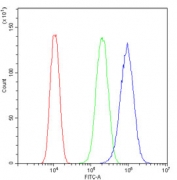 Flow cytometry testing of human U-87 MG cells with Transferrin Receptor antibody at 1ug/million cells (blocked with goat sera); Red=cells alone, Green=isotype control, Blue= Transferrin Receptor antibody.
