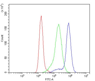 Flow cytometry testing of human K562 cells with ZO-1 antibody at 1ug/million cells (blocked with goat sera); Red=cells alone, Green=isotype control, Blue= ZO-1 antibody.