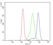 Flow cytometry testing of human K562 cells with ZO-1 antibody at 1ug/million cells (blocked with goat sera); Red=cells alone, Green=isotype control, Blue= ZO-1 antibody.