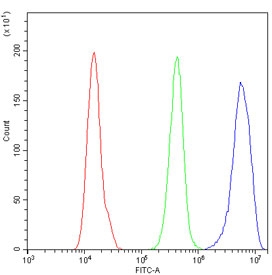 Flow cytometry testing of human A431 cells with MCM7 antibody at 1ug/million cells (blocked with goat sera); Red=cells alone, Green=isotype control, Blue= MCM7 antibody.