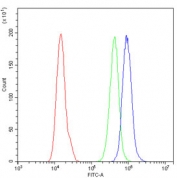 Flow cytometry testing of human A431 cells with MAD1 antibody at 1ug/million cells (blocked with goat sera); Red=cells alone, Green=isotype control, Blue= MAD1 antibody.