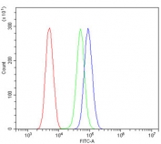 Flow cytometry testing of human ThP-1 cells with MGMT antibody at 1ug/million cells (blocked with goat sera); Red=cells alone, Green=isotype control, Blue= MGMT antibody.