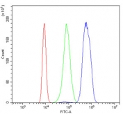 Flow cytometry testing of human K532 cells with Mad2L1 antibody at 1ug/million cells (blocked with goat sera); Red=cells alone, Green=isotype control, Blue= Mad2L1 antibody.