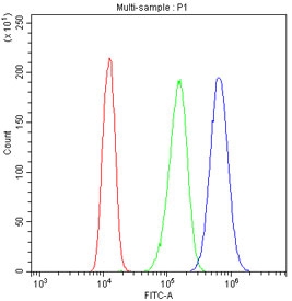 Flow cytometry testing of human A431 cells with MSH2 antibody at 1ug/million cells (blocked with goat sera); Red=cells alone, Green=isotype control, Blue= MSH2 antibody.