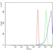 Flow cytometry testing of human U-87 MG cells with NUMB antibody at 1ug/million cells (blocked with goat sera); Red=cells alone, Green=isotype control, Blue= NUMB antibody.