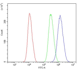 Flow cytometry testing of human A549 cells with PBK antibody at 1ug/million cells (blocked with goat sera); Red=cells alone, Green=isotype control, Blue= PBK antibody.