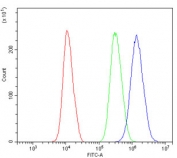 Flow cytometry testing of human A549 cells with PBK antibody at 1ug/million cells (blocked with goat sera); Red=cells alone, Green=isotype control, Blue= PBK antibody.