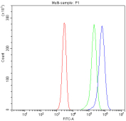 Flow cytometry analysis of fixed and permeabilized human Jurkat cells with PKC beta antibody at 1ug/million cells (blocked with goat sera); Red=cells alone, Green=isotype control, Blue= PKC beta antibody.