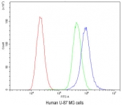 Flow cytometry testing of human U-87 MG cells with CaV1.3 antibody at 1ug/10^6 cells (blocked with goat sera); Red=cells alone, Green=isotype control, Blue= CaV1.3 antibody.