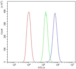 Flow cytometry testing of human PC-3 cells with Calpain antibody at 1ug/million cells (blocked with goat sera); Red=cells alone, Green=isotype control, Blue= Calpain antibody.
