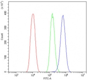 Flow cytometry testing of human PC-3 cells with Calpain antibody at 1ug/million cells (blocked with goat sera); Red=cells alone, Green=isotype control, Blue= Calpain antibody.