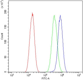 Flow cytometry testing of human A549 cells with ERAB antibody at 1ug/million cells (blocked with goat sera); Red=cells alone, Green=isotype control, Blue= ERAB antibody.