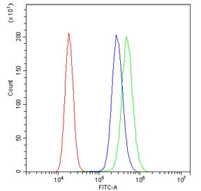 Flow cytometry testing of human A431 cells with HSP60 antibody at 1ug/million cells (blocked with goat sera); Red=cells alone, Green=isotype control, Blue= HSP60 antibody.