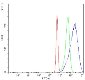 Flow cytometry testing of human A431 cells with Optineurin antibody at 1ug/million cells (blocked with goat sera); Red=cells alone, Green=isotype control, Blue= Optineurin antibody.