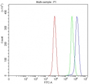 Flow cytometry testing of fixed and permeabilized human K562 cells with PP2A antibody at 1ug/million cells (blocked with goat sera); Red=cells alone, Green=isotype control, Blue= PP2A antibody.