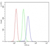 Flow cytometry testing of human U937 cells with PRDX3 antibody at 1ug/million cells (blocked with goat sera); Red=cells alone, Green=isotype control, Blue= PRDX3 antibody.