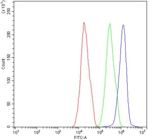 Flow cytometry testing of human HepG2 cells with VCP antibody at 1ug/million cells (blocked with goat sera); Red=cells alone, Green=isotype control, Blue= VCP antibody.