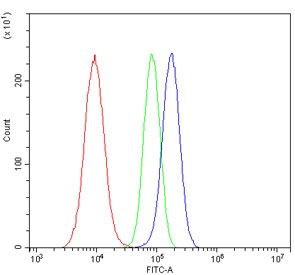 Flow cytometry testing of human A549 cells with SULT2B1 antibody at 1ug/million cells (blocked with goat sera); Red=cells alone, Green=isotype control, Blue= SULT2B1 antibody.
