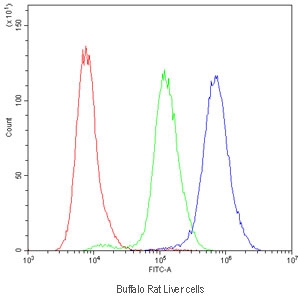 Flow cytometry testing of Buffalo rat liver (BRL 3A) cells with NTCP antibody at 1ug/million cells (blocked with goat sera); Red=cells alone, Green=isotype control, Blue=NTCP antibody.