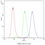 Flow cytometry testing of Buffalo rat liver (BRL 3A) cells with NTCP antibody at 1ug/10^6 cells (blocked with goat sera); Red=cells alone, Green=isotype control, Blue=NTCP antibody.