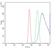 Flow cytometry testing of human U-87 MG cells with MKK7 antibody at 1ug/million cells (blocked with goat sera); Red=cells alone, Green=isotype control, Blue= MKK7 antibody.