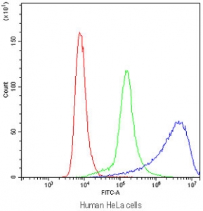 Flow cytometry testing of human HeLa cells with PPP1R12A antibody at 1ug/million cells (blocked with goat sera); Red=cells alone, Green=isotype control, Blue=PPP1R12A antibody.