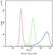 Flow cytometry testing of human HeLa cells with PPP1R12A antibody at 1ug/10^6 cells (blocked with goat sera); Red=cells alone, Green=isotype control, Blue=PPP1R12A antibody.