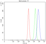 Flow cytometry analysis of fixed and permeabilized human Caco-2 cells with SAPK4 antibody at 1ug/million cells (blocked with goat sera); Red=cells alone, Green=isotype control, Blue= SAPK4 antibody.