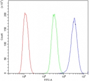 Flow cytometry testing of human U-2 OS cells with SPTLC1 antibody at 1ug/million cells (blocked with goat sera); Red=cells alone, Green=isotype control, Blue= SPTLC1 antibody.