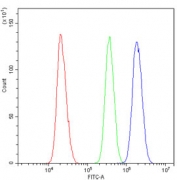 Flow cytometry testing of human U-2 OS cells with OPA1 antibody at 1ug/million cells (blocked with goat sera); Red=cells alone, Green=isotype control, Blue= OPA1 antibody.