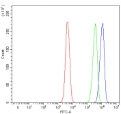 Flow cytometry testing of human SH-SY5Y cells with UNC5C antibody at 1ug/million cells (blocked with goat sera); Red=cells alone, Green=isotype control, Blue= UNC5C antibody.