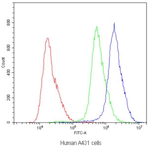 Flow cytometry testing of human A431 cells with ABCB11 antibody at 1ug/million cells (blocked with goat sera); Red=cells alone, Green=isotype control, Blue=ABCB11 antibody.