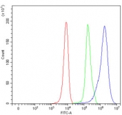 Flow cytometry testing of human 293T cells with PGK antibody at 1ug/million cells (blocked with goat sera); Red=cells alone, Green=isotype control, Blue= PGK antibody.