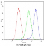 Flow cytometry testing of human HepG2 cells with AHSG antibody at 1ug/10^6 cells (blocked with goat sera); Red=cells alone, Green=isotype control, Blue= AHSG antibody.
