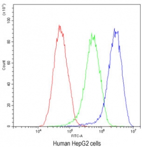 Flow cytometry testing of human HepG2 cells with AHSG antibody at 1ug/million cells (blocked with goat sera); Red=cells alone, Green=isotype control, Blue= AHSG antibody.