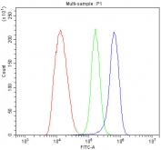 Flow cytometry testing of fixed and permeabilized human HepG2 cells with Transferrin antibody at 1ug/million cells (blocked with goat sera); Red=cells alone, Green=isotype control, Blue= Transferrin antibody.
