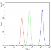 Flow cytometry testing of human U937 cells with CDK1 antibody at 1ug/10^6 cells (blocked with goat sera); Red=cells alone, Green=isotype control, Blue= CDK1 antibody.