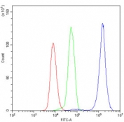 Flow cytometry testing of human U937 cells with CDK1 antibody at 1ug/10^6 cells (blocked with goat sera); Red=cells alone, Green=isotype control, Blue= CDK1 antibody.