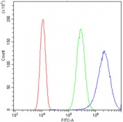 Flow cytometry testing of human SiHa cells with S100A6 antibody at 1ug/10^6 cells (blocked with goat sera); Red=cells alone, Green=isotype control, Blue= S100A6 antibody.