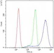 Flow cytometry testing of human A431 cells with S100A6 antibody at 1ug/10^6 cells (blocked with goat sera); Red=cells alone, Green=isotype control, Blue= S100A6 antibody.